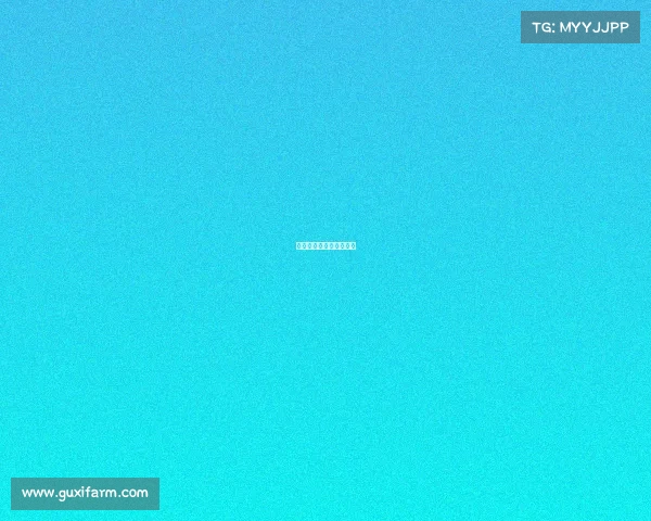 赛事大师乒乓球教练是谁